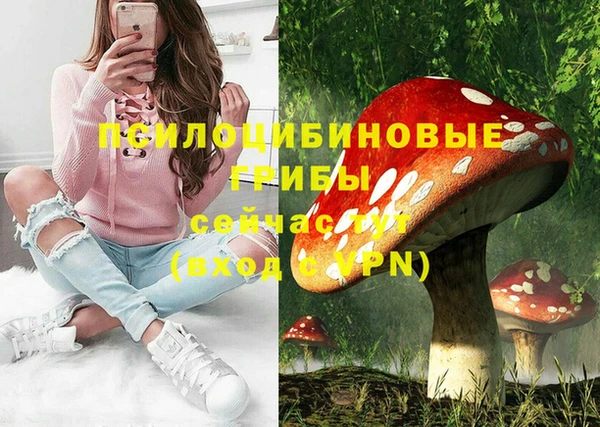 соль ск Переславль-Залесский