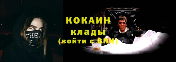 соль ск Переславль-Залесский