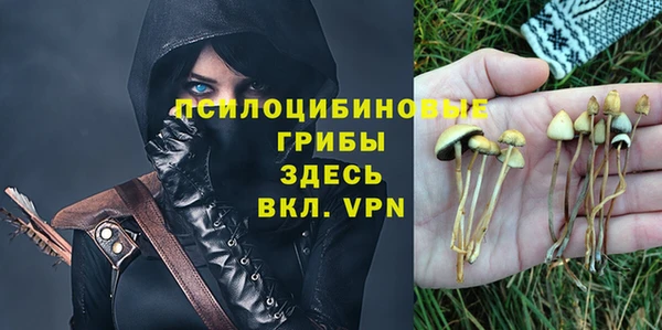 герыч Осташков