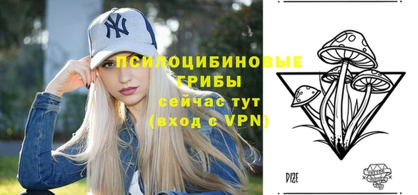 бутик Пересвет