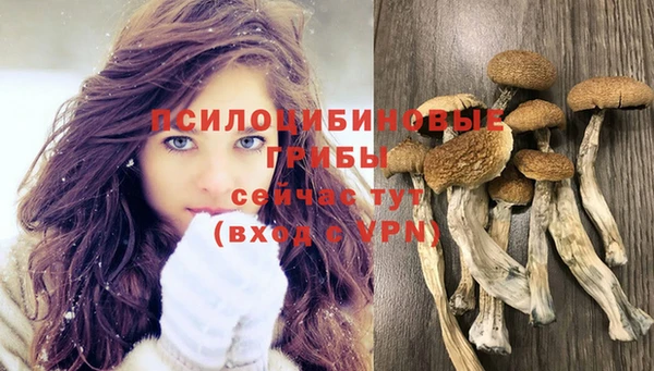 бутик Пересвет