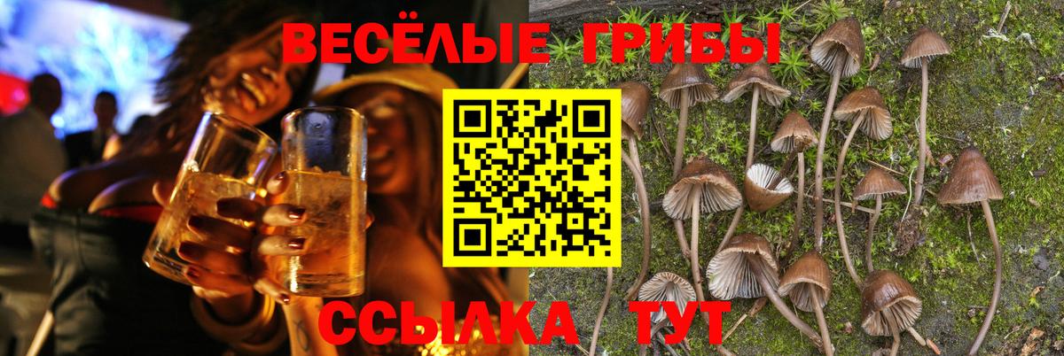Галлюциногенные грибы ЛСД  Вход с VPN  Барнаул 