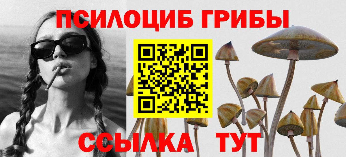 Галлюциногенные грибы мицелий Барнаул
